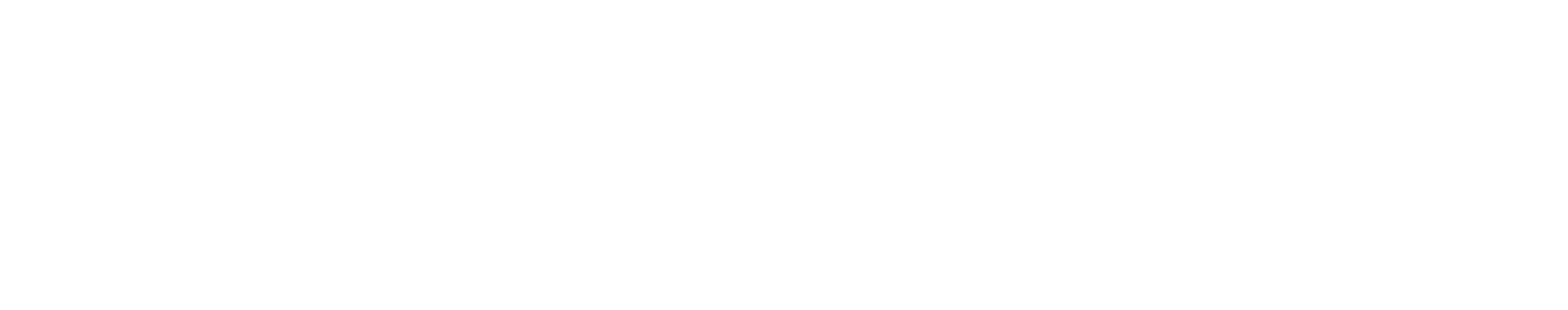 Mahoney IT